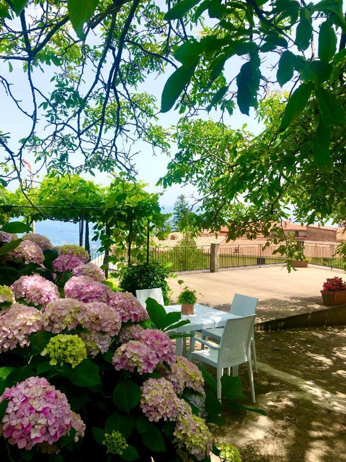Il Ciliegio Villa Stella Cilento Ngoại thất bức ảnh